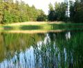 images/Schweden/Schweden 2012/IMG_0620.jpg